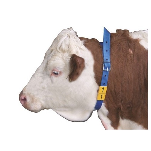 Zgardă pentru marcat bovine 120 cm