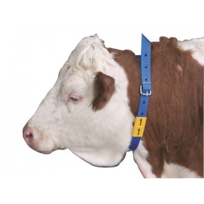 Zgardă pentru marcat bovine 120 cm