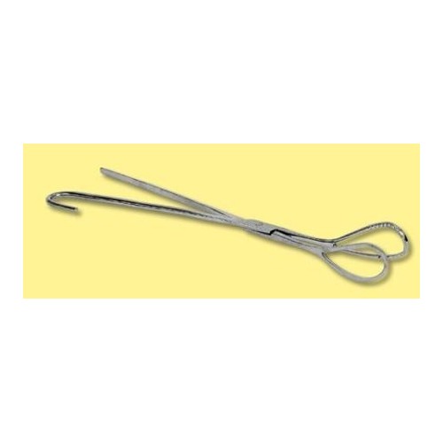 Forceps porci